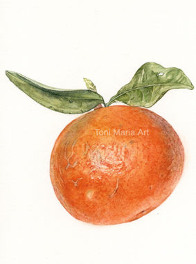 Clementine (watercolour)_edited.jpg