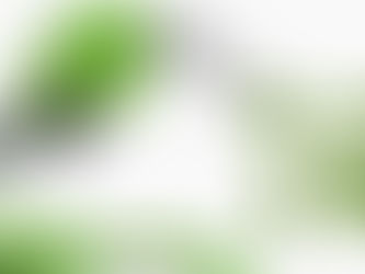 ¿PORQUE BIOCOMBUSTIBLES?