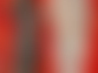 Bridges Exhibition Opens to Huge Crowds at Cane Roots