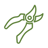 Pruning.png