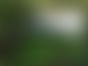 Organizing Paper Work to Sell My Home