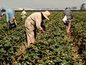 ICE Has Arrested 75,000 with No Criminal Record