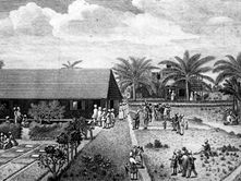How the Creole Language Developed