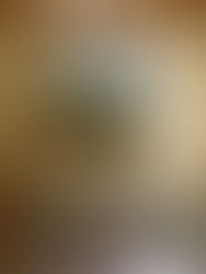 The Zone Plan – The Breakfast Room