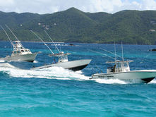 Seasonal Closures: Queen Conch, Whelk, Mutton & Lane Snapper
