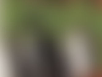 Burial Rituals in the USVI