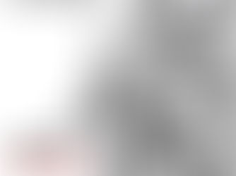 Waldy Wows with Wire Art at CMCArts