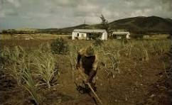 From Plantations to Projects: The History of Housing and Crime on St.Croix