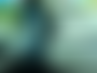 Never Drink from Water Bottle Left in Car