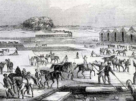 A History of Ice in the Tropics