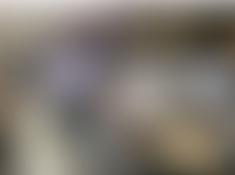 Unlocking the Vault: Danish Researchers Bring Virgin Islands' History Online