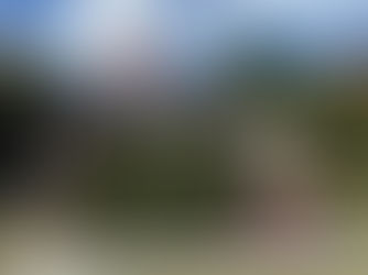 A Brief History of AgriFest