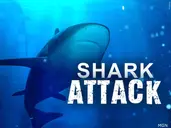 Female Dies from Shark Attack at Dorsch Beach
