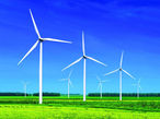 Trump Halts U.S. Wind Farms, Cites National Security