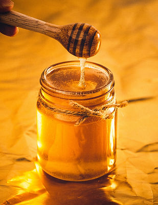 Gourmet Tupelo Honey for Sale