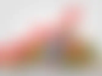 Bombshell Report: Trump Tariffs Inflate Food Costs