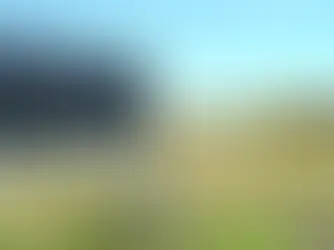 VIGL Bows Out of Racetrack