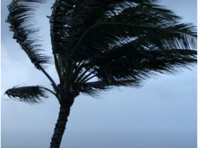 DPNR Hurricane Preparation Guide