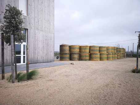 AUX GRANDS MAUX LES GRANDS REMÈDES !