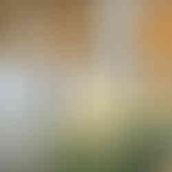 centre de table romantique