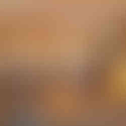 Salle conviviale Ty Colo face à la mer