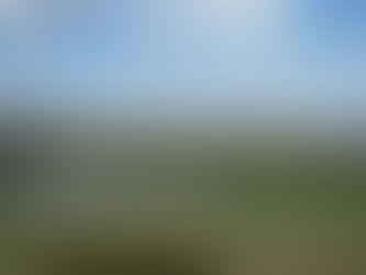 Les mariages du mois de septembre 2022