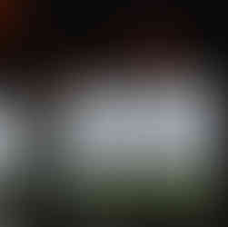 Déjeuner face à la mer