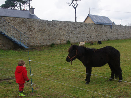 Par ici la ménagerie ! (mise à jour du 18/03/2018)