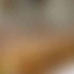 décoration de mariage avec fleurs et menus