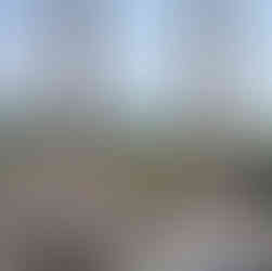 salle de mariage dans le finistère en bord de mer