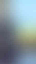 vue colonie de trézien