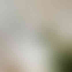 décoration de mariage table d'honneur bouquet bleu et blanc