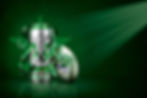HEINEKEN RUGBY