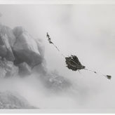 L'univers photographique d'Anna Marchlewska se construit autour de projet engagé, mêlant poésie et évanescence de clichés Noir & Blanc. Elle nous livre un monde intime et mystérieux invitant au questionnement et à l'introspection.