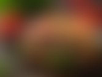 Flan d’aubergines au bœuf et à la sauce tomate