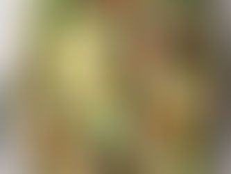 Salade d'asperges façon César