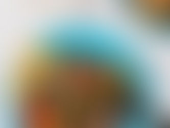 Escalopes de porc braisées au cidre et pommes