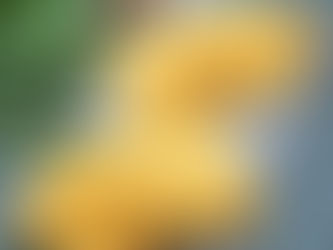 Pâte à crêpe légère salée