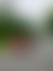 Hanseatic Unity Rallye