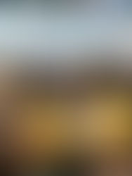 Bremen Classic Motorshow 2026