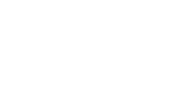 Logo transperent no arms.png