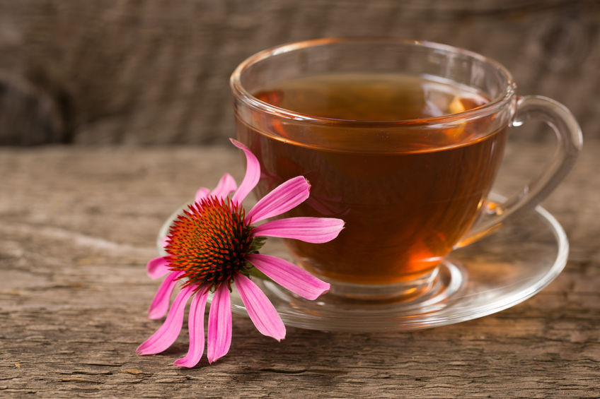 Thumbnail: Εχινάκεια