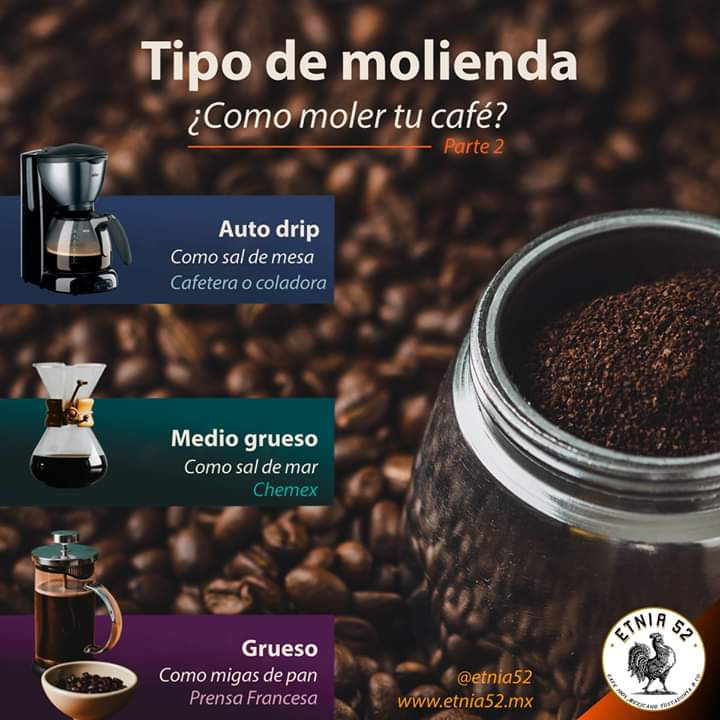 Thumbnail: High altitude coffee Oaxaca