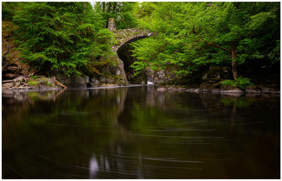 The Hermitage