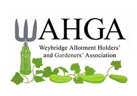 WAHGA+logo+cropped+2-504w.jpg