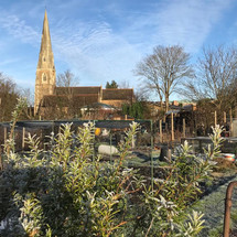 Allotment church Caroline.jpeg