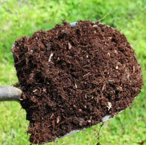 All you need to know about mulch
