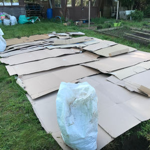 No Dig - Lasagne Gardening!