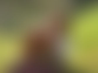 "I Have A Fairy Godmother": Eloise Rixey on Playing Festivals and Speaking Your Truth