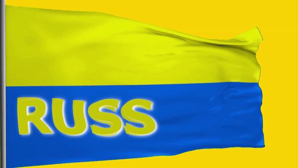HOME FLAG YELLOW 8 SEC.gif